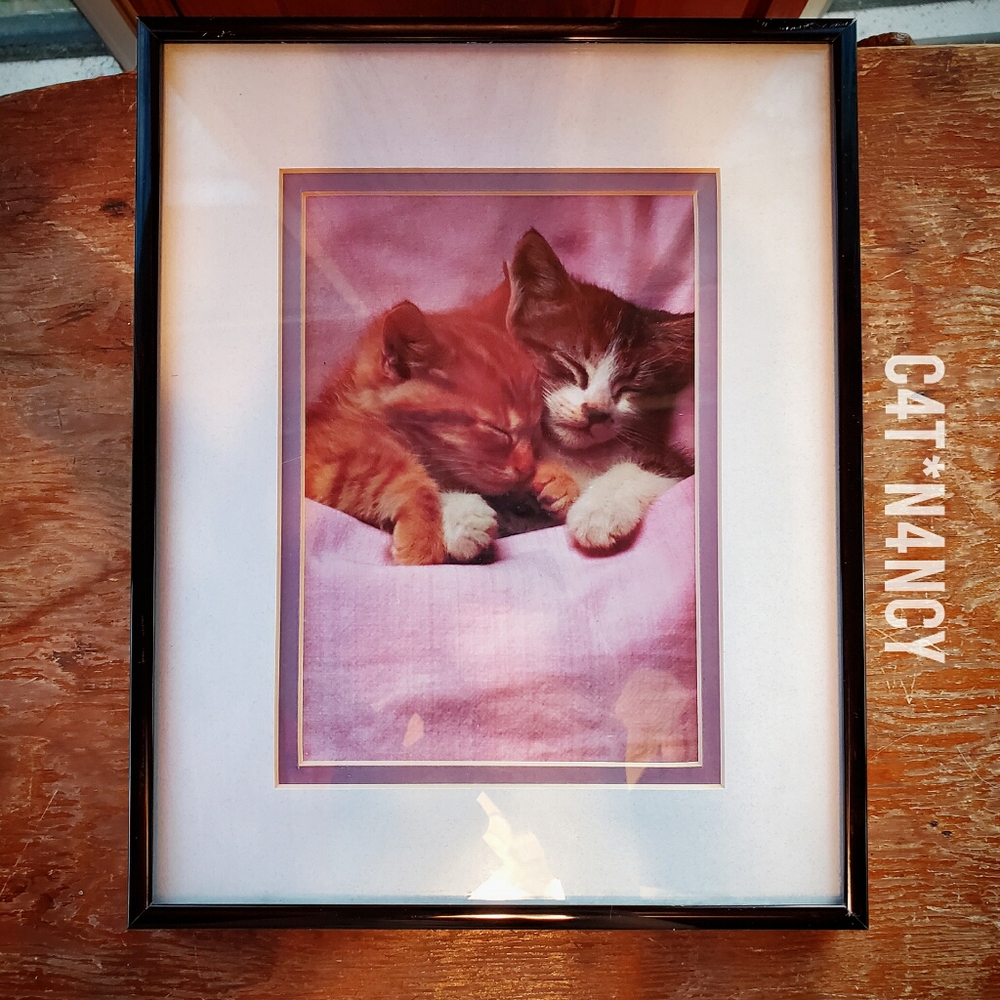 ☆ SUPER CUTE SLEEPING KITTENS SNUGGLING ☆ WALL ART